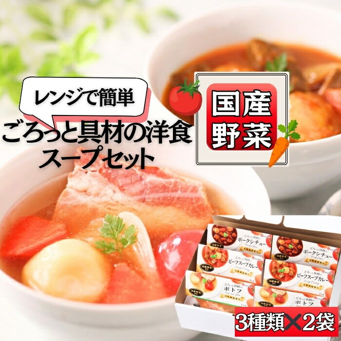 【ふるさと納税】スープ ごろっと具材の洋食 3種6食セット 