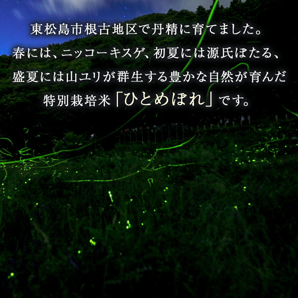 【ふるさと納税】【予約受付開始】令和5年産 宮城県産 特別栽培米 ほたる米 ひとめぼれ 精米 10kg 宮城県 東松島