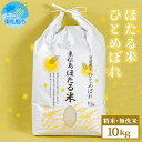 1位! 口コミ数「3件」評価「5」【予約受付開始】令和5年産 ＜無洗米＞宮城県産 特別栽培米 ほたる米 ひとめぼれ 10kg 宮城県 東松島