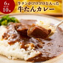 【ふるさと納税】大きめ牛タンがゴロゴロ入った牛たんカレー　(6食または10食) レトルトカレー　常温保存