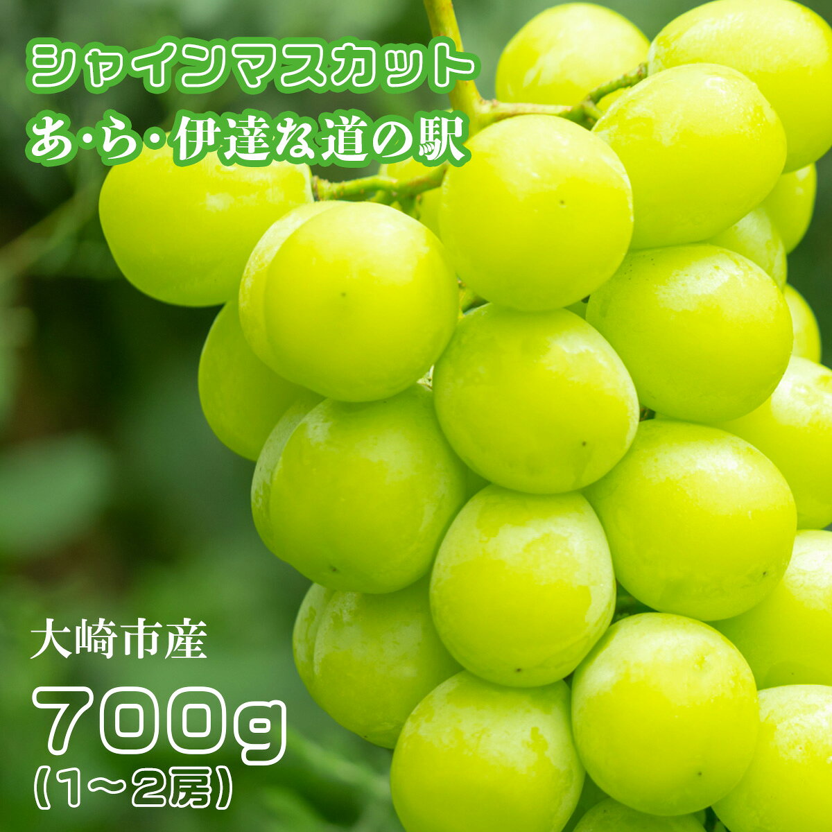 シャインマスカット 先行予約 700g(1〜2房) 道の駅 直送 フルーツ 果物 くだもの ぶどう ブドウ 全国 道の駅 満足度ランキング 複数回 1位獲得 あ・ら・伊達な道の駅 大崎市 ar001-700g
