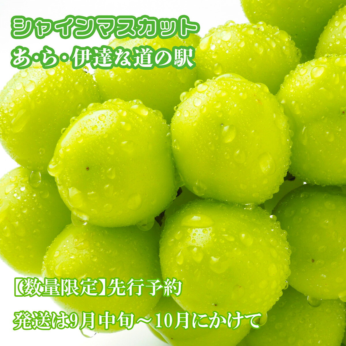【ふるさと納税】 シャインマスカット 先行予約 700g(1〜2房) 道の駅 直送 フルーツ 果物 くだもの ぶどう ブドウ 全国 道の駅 満足度ランキング 複数回 1位獲得 あ・ら・伊達な道の駅 大崎市 ar001-700g f042153-osaki-10000577 宮城県大崎市 サンプル画像2