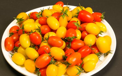 【ふるさと納税】彩りミニトマト詰め合わせが大人気返礼品になっている理由とは　ふるさと納税　人気　返礼品　ランキング