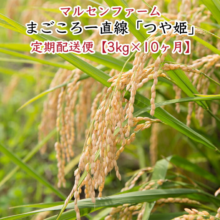 53位! 口コミ数「0件」評価「0」【3kg×10回】マルセンファーム　まごころ一直線「つや姫」【2023年産】