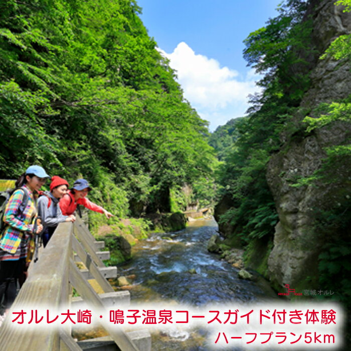 【ふるさと納税】オルレ大崎・鳴子温泉コースガイド付き体験《ハーフプラン5km》