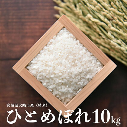 《精米》宮城県大崎市産 特別栽培米 ひとめぼれ10kg【2023年産】