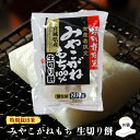 【ふるさと納税】【特別栽培米生産者限定】宮城県産みやこがねもち100%生切り餅10袋
