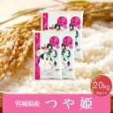 【ふるさと納税】《精米》令和5年産 宮城県産つや姫20kg