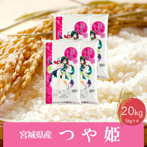 【ふるさと納税】《精米》令和6年産 宮城県産つや姫20kg 【ふるさと納税】《精米》令和6年産 宮城県産つや姫20kg