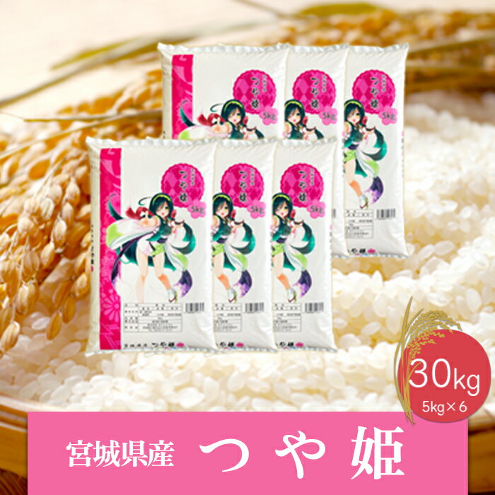 2位! 口コミ数「0件」評価「0」《精米》令和5年産 宮城県産つや姫30kg