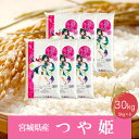 人気ランキング第21位「宮城県大崎市」口コミ数「0件」評価「0」《精米》令和5年産 宮城県産つや姫30kg