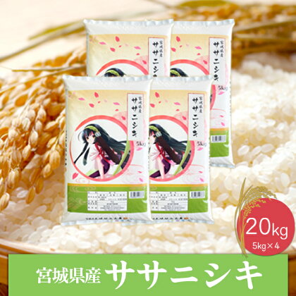 《精米》令和5年産 宮城県産ササニシキ20kg