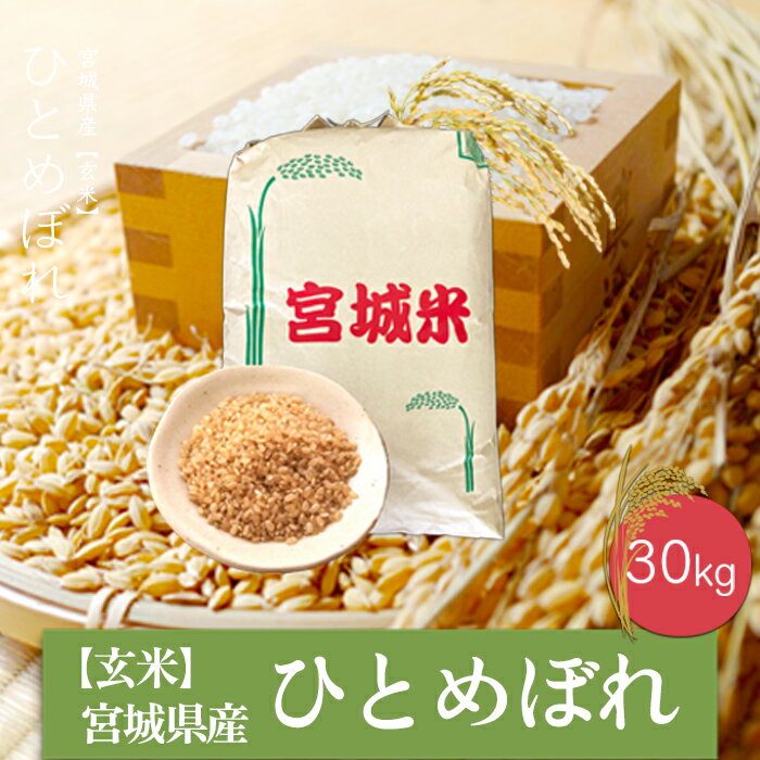 【ふるさと納税】《玄米》令和5年産 宮城県産ひとめぼれ30kg