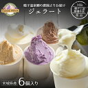 【ふるさと納税】鳴子上原酪農牛乳で作る鳴子農園のジェラート