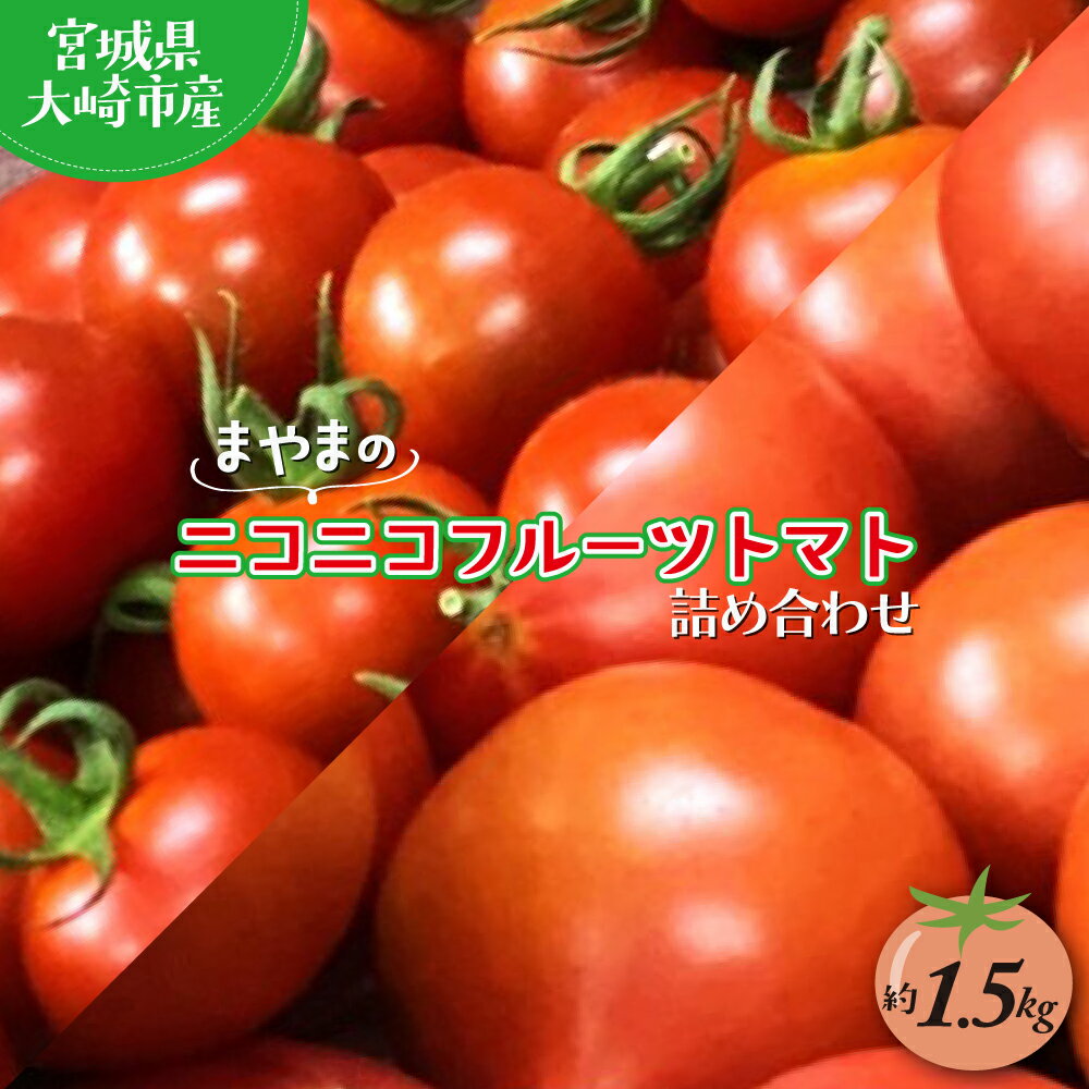 【ふるさと納税】宮城県大崎市産｜まやまのニコニコフルーツトマト詰め合わせ 約1.5kg【第3回トマト選手権 最高金賞受賞｜先行予約受付中｜2026年発送】