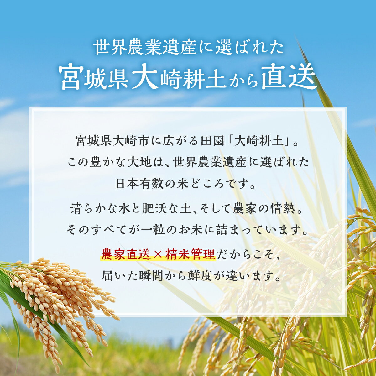 宮城県大崎市の画像3