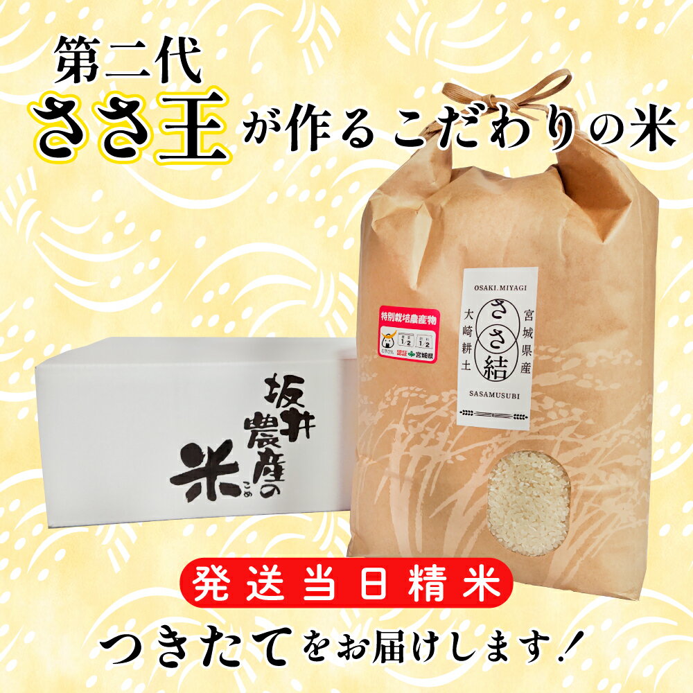 【ふるさと納税】坂井農産のささ結 特別栽培米 宮城県産 白米 5kg ささむすび