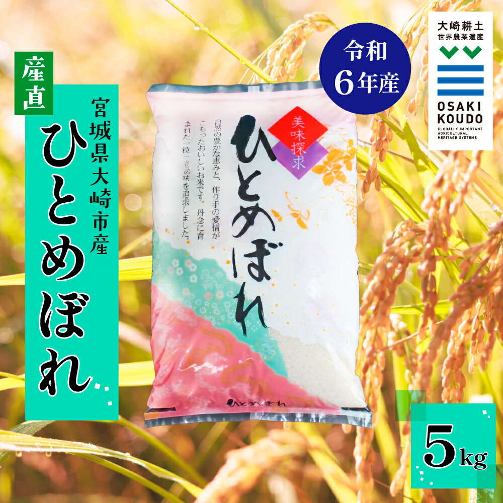 【ふるさと納税】《精