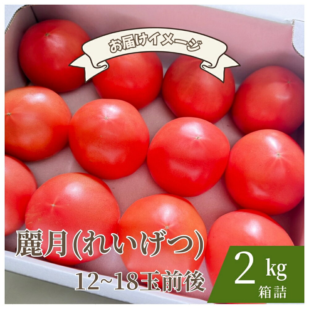 【ふるさと納税】【糖度7度以上】麗月トマト 2kg｜冬期育ちの濃厚な甘み・産地直送の完熟トマト