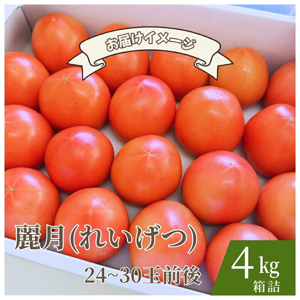 【ふるさと納税】【糖度7度以上】麗月トマト 4kg｜冬期育ちの濃厚な甘み・産地直送の完熟トマト