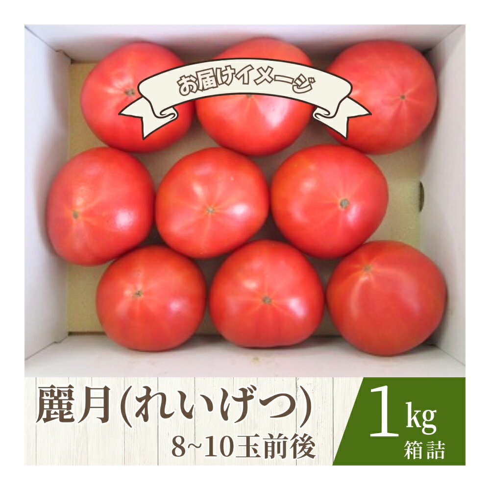 【ふるさと納税】【糖度7度以上】麗月トマト 1kg｜冬期育ちの濃厚な甘み・産地直送の完熟トマト