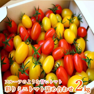【ふるさと納税】彩りミニトマト詰め合わせ