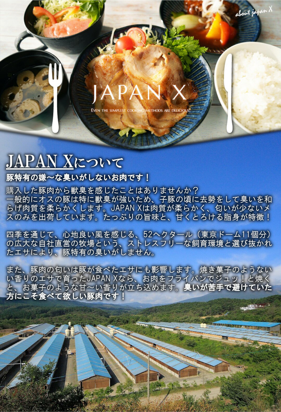 【ふるさと納税】豚肉 小分け 切り落し JAPAN X 豚小間切り落とし 3kg ぶたにく ブランド豚 切落し 薄切り 送料無料 肉 グルメ 人気 冷凍 真空 時短 国産 宮城県産【04301-0067】 ふるさと納税宮城県 ふるさと納税蔵王町