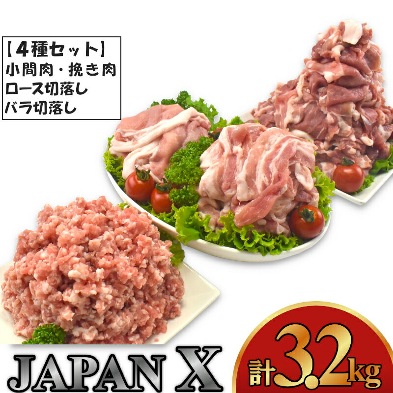 豚肉 小分け 切り落し JAPAN X 豚肉バラエティセット 3.2kg 切落し スライス ミンチ 送料無料 肉 グルメ 人気 冷凍 時短 国産 [04301-0366] ふるさと納税宮城県 ふるさと納税蔵王町