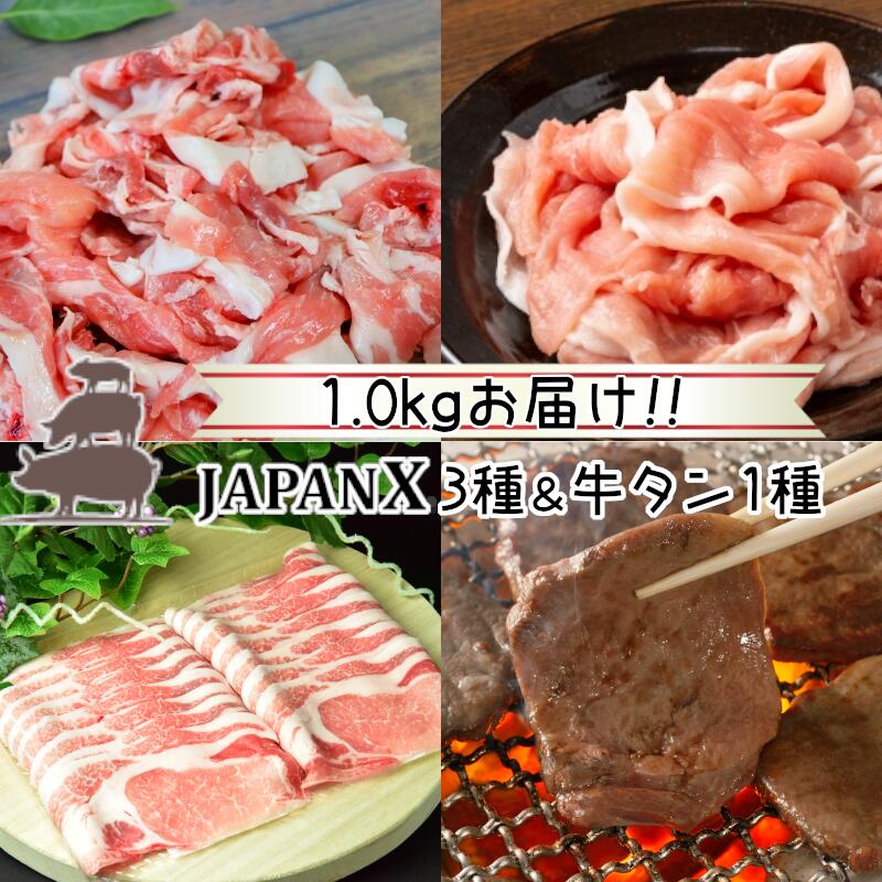 【ふるさと納税】JAPAN X3種特選仙台牛タン塩味セット 計1kg【真空パック・特選仙台牛タン塩味8mm・JAPAN X3種(ロース・モモ・小間)】　【04301-0544】のサムネイル