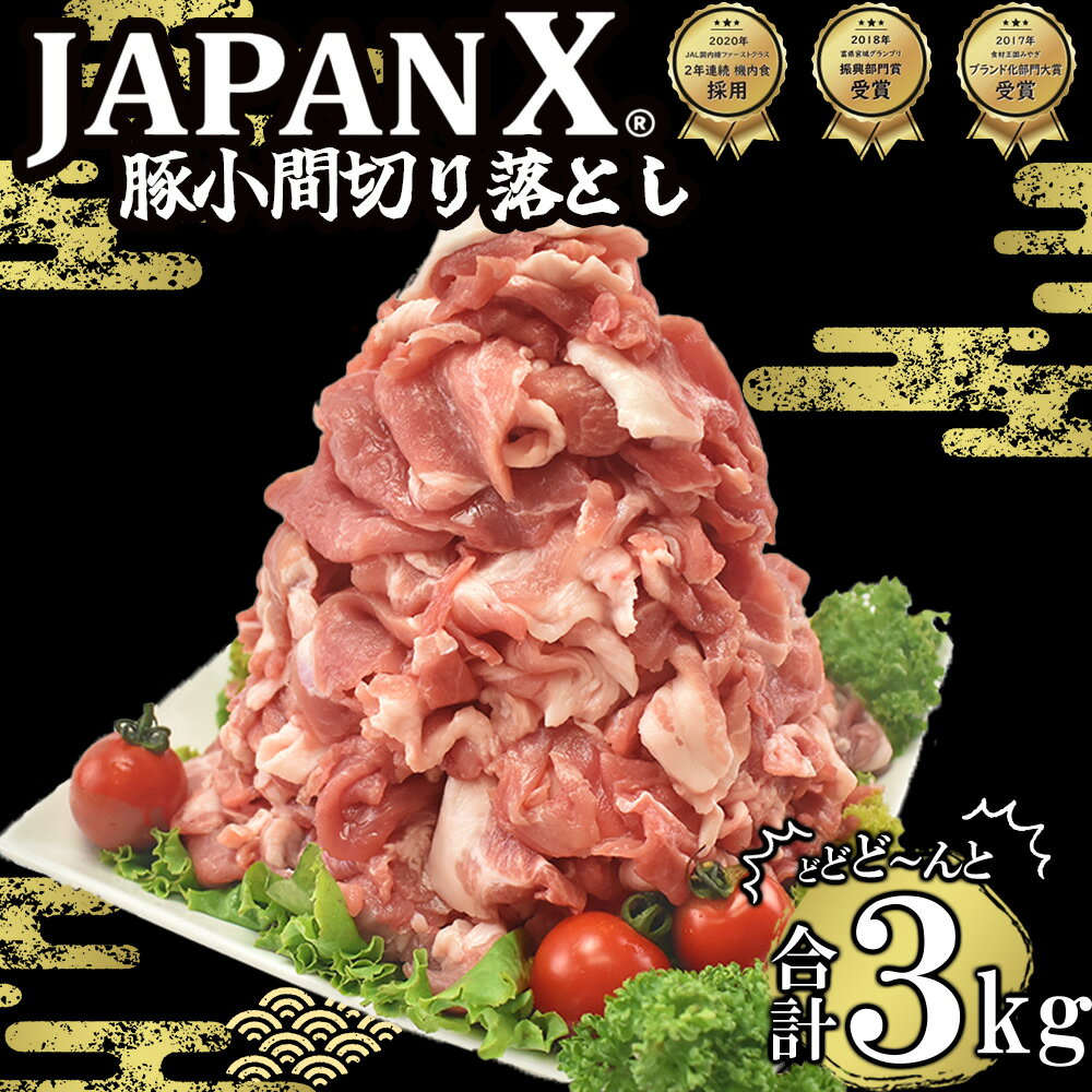 【ふるさと納税】豚肉 小分け 切り落し JAPAN X 豚小間切り落とし 3kg ぶたにく ブランド豚 切落し 薄切り 送料無料 肉 グルメ 人気 冷凍 真空 時短 国産 宮城県産【04301-0067】 ふるさと納税宮城県 ふるさと納税蔵王町