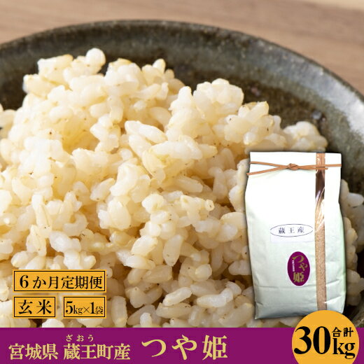 【6か月定期便】蔵王産 つや姫 玄米30kg（5kg×6回） 【04301-0394】