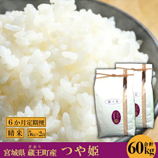 【6か月定期便】蔵王産 つや姫 精米60kg（5kg×2袋×6回） 【04301-0415】
