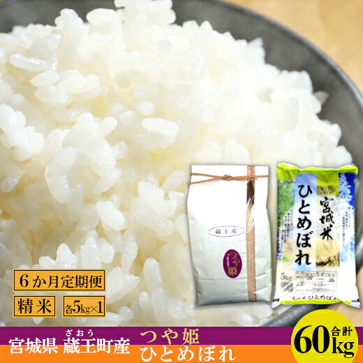 【6か月定期便】蔵王産米2種食べ比べセット 精米60kg（つや姫5kgひとめぼれ5kg×6回） 【04301-0418】