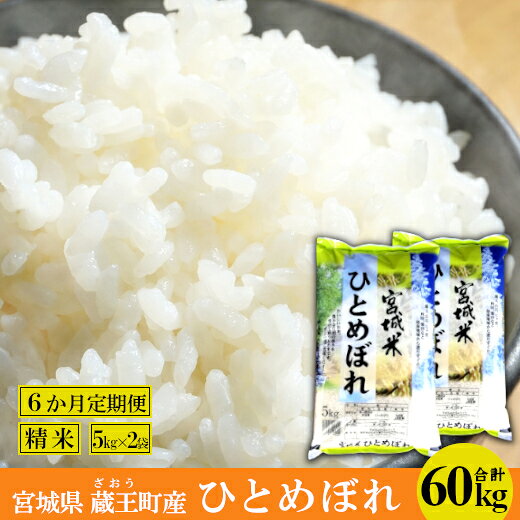 【6か月定期便】蔵王産 ひとめぼれ 精米60kg（5kg×2袋×6回） 【04301-0421】