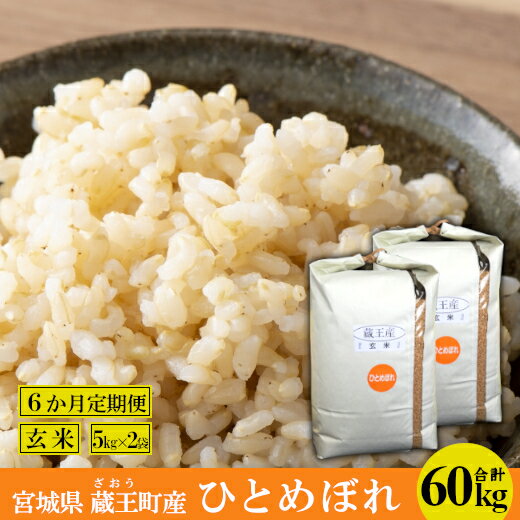 【6か月定期便】蔵王産 ひとめぼれ 玄米60kg（5kg×2袋×6回） 【04301-0424】