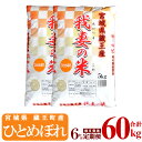 7位! 口コミ数「0件」評価「0」【6か月定期便】蔵王産　我妻の米（ひとめぼれ）　精米60kg（5kg×2袋×6回）　【04301-0427】