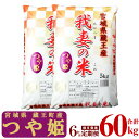 【ふるさと納税】【6か月定期便】蔵王産　我妻の米（つや姫）　精米60kg（5kg×2袋×6回）　【04301-0430】