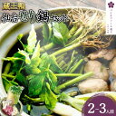 【ふるさと納税】【先行予約】蔵王鴨 仙台せり鍋セット2〜3人前(2025年10月発送開始予定) 【04301-0121】 鍋 せり鍋 鍋セット せり 鴨 簡単 ...