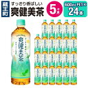 3位! 口コミ数「0件」評価「0」【5ヶ月連続お届け】爽健美茶 600mlPET×24本　【04301-0029】