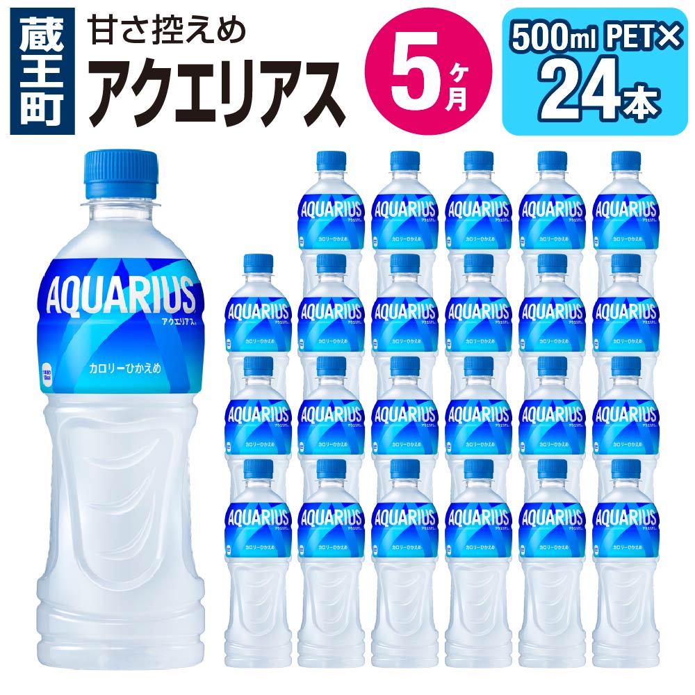 26位! 口コミ数「0件」評価「0」【5ヶ月連続お届け】アクエリアス 500mlPET×24本　【04301-0041】