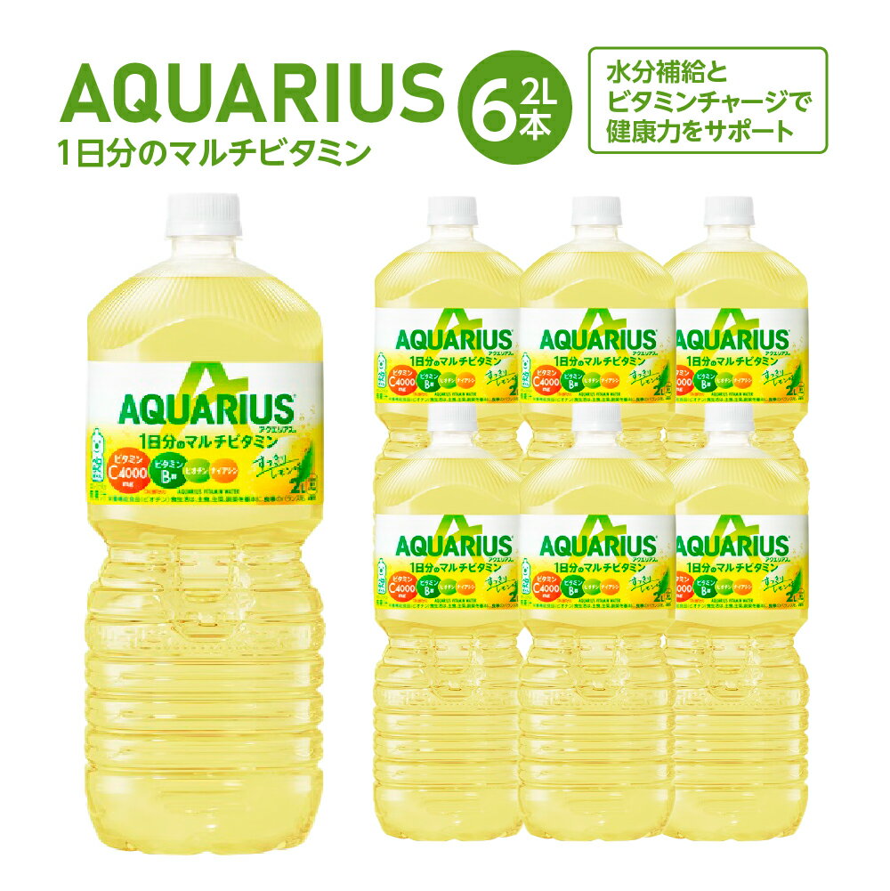 4位! 口コミ数「0件」評価「0」アクエリアス1日分のマルチビタミン　2L×6本　【04301-0537】