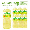 【ふるさと納税】アクエリアス1日分のマルチビタミン 2L×6本 【04301-0537】
