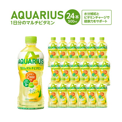 アクエリアス1日分のマルチビタミン　500ml×24本　【04301-0538】