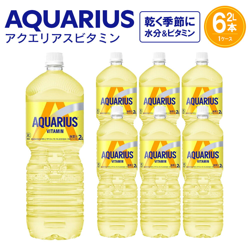 【ふるさと納税】アクエリアス ビタミン 2L PET×6本 【04301-0537】