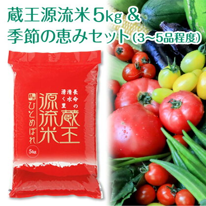 ＜令和5年産米＞蔵王源流米5kg＆季節の恵みセット(3～5品程度)　【04301-0137】