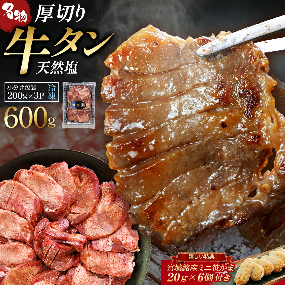 【ふるさと納税】蔵王福膳・柔らか牛タン(塩)600g・笹かま付き【04301-0566】 牛たん 牛タン 塩 牛肉 肉 焼肉 BBQ 仙台名物 宮城銘産 厚切り 蔵王 人気 冷凍 宮城県 蔵王町 福一