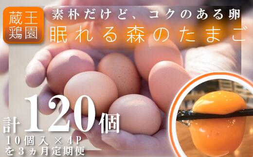 【ふるさと納税】【3か月連続お届け】眠れる森のたまご　朝採れ卵40個　【04301-0325】