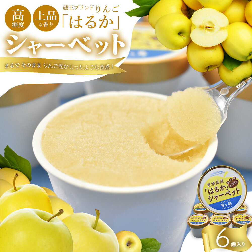 りんご「はるか」シャーベット [04301-0202]