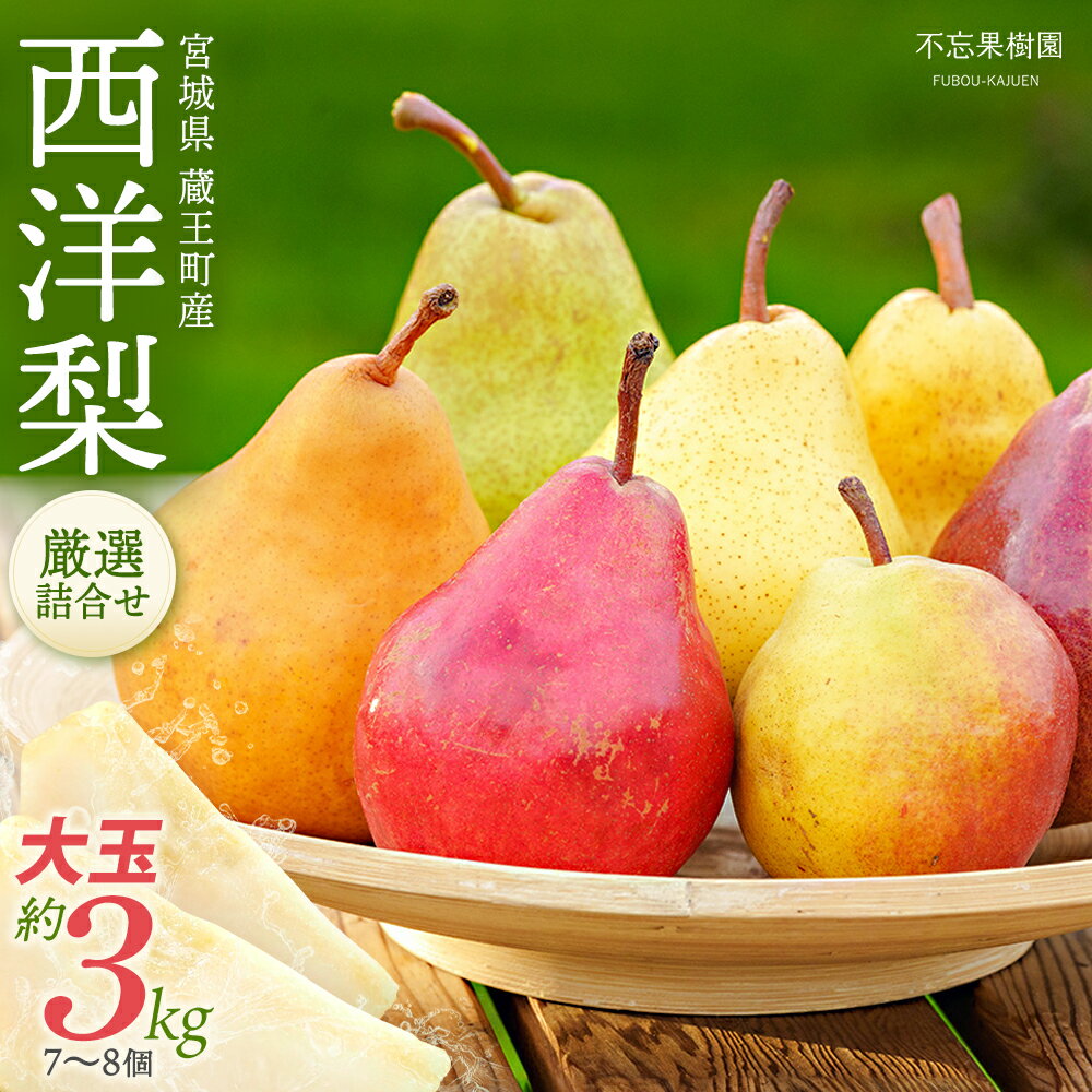 【ふるさと納税】西洋梨詰合せ約2.5～3kg（7～8個） 蔵王産　【04301-0277】