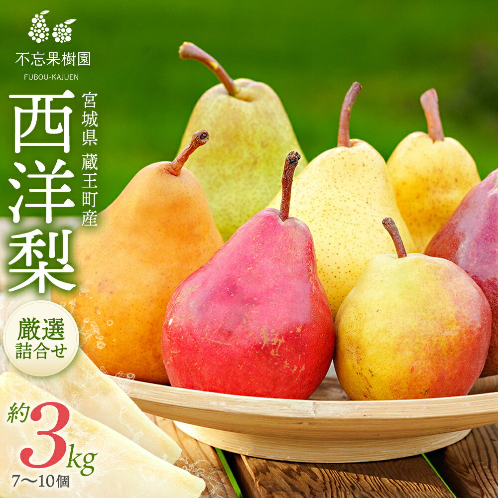 西洋梨詰合せ 7種 約3kg(7〜10個) 蔵王産 [04301-0278]